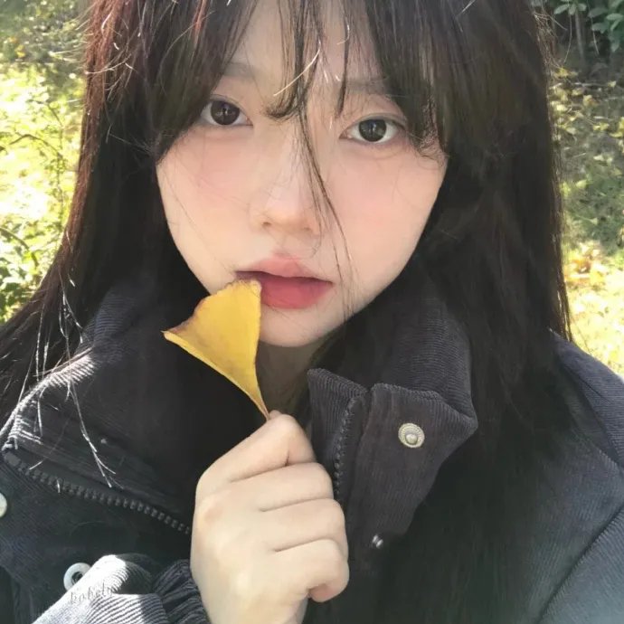 星游记